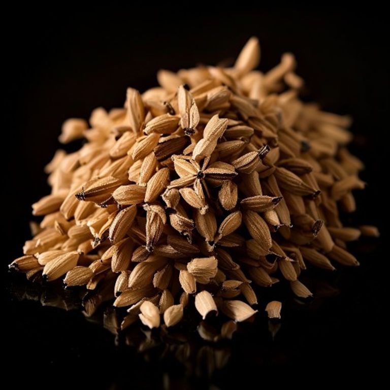 Cumin (animalic facet)